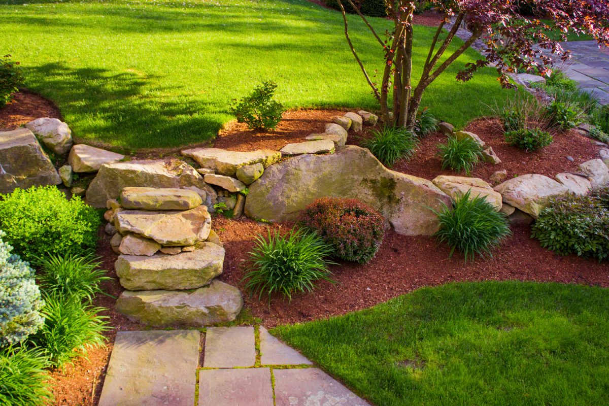 A backyard with a rock wall and rock stairs with a red tree on top.

