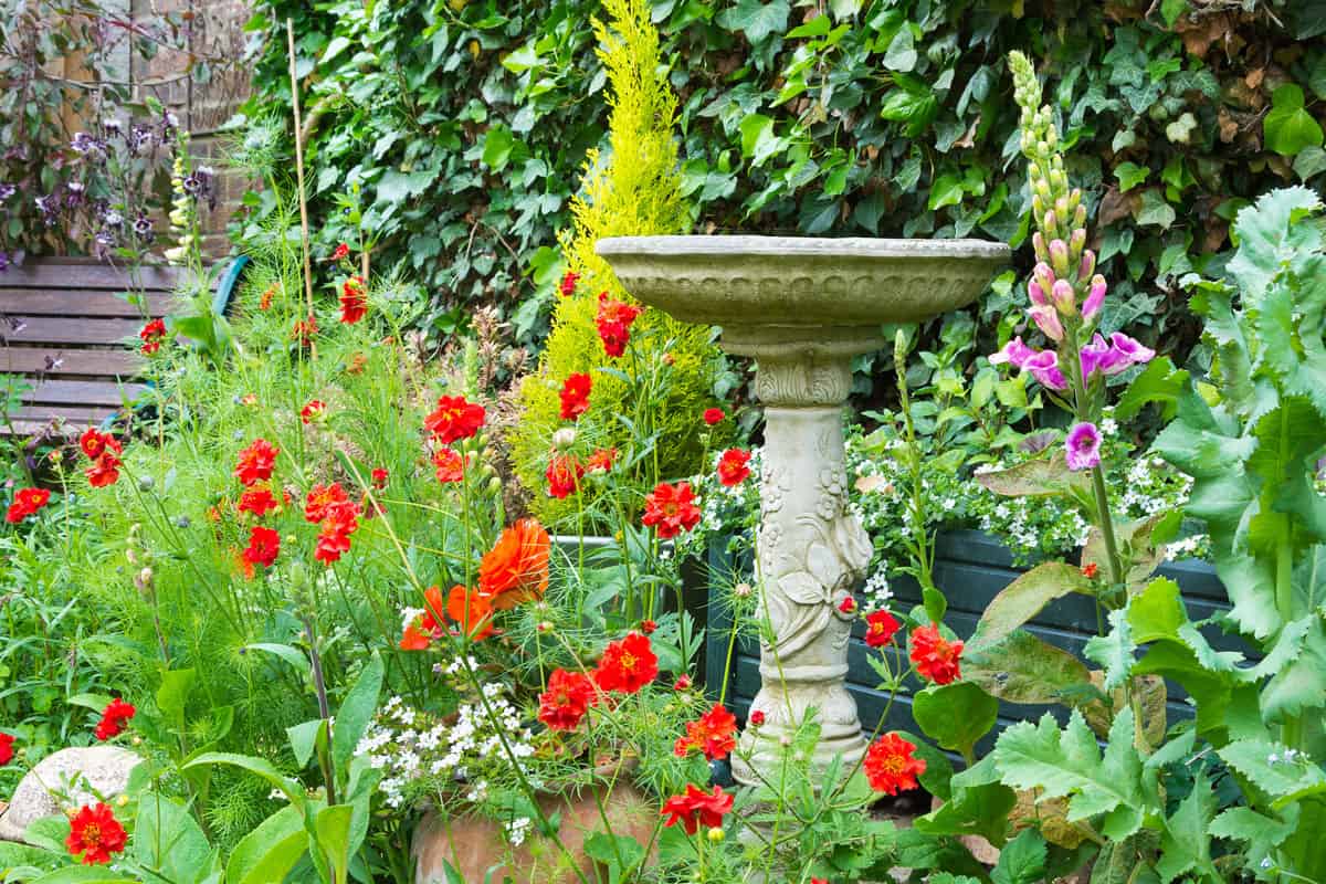 A bright blooming garden with a bird bath on the middle