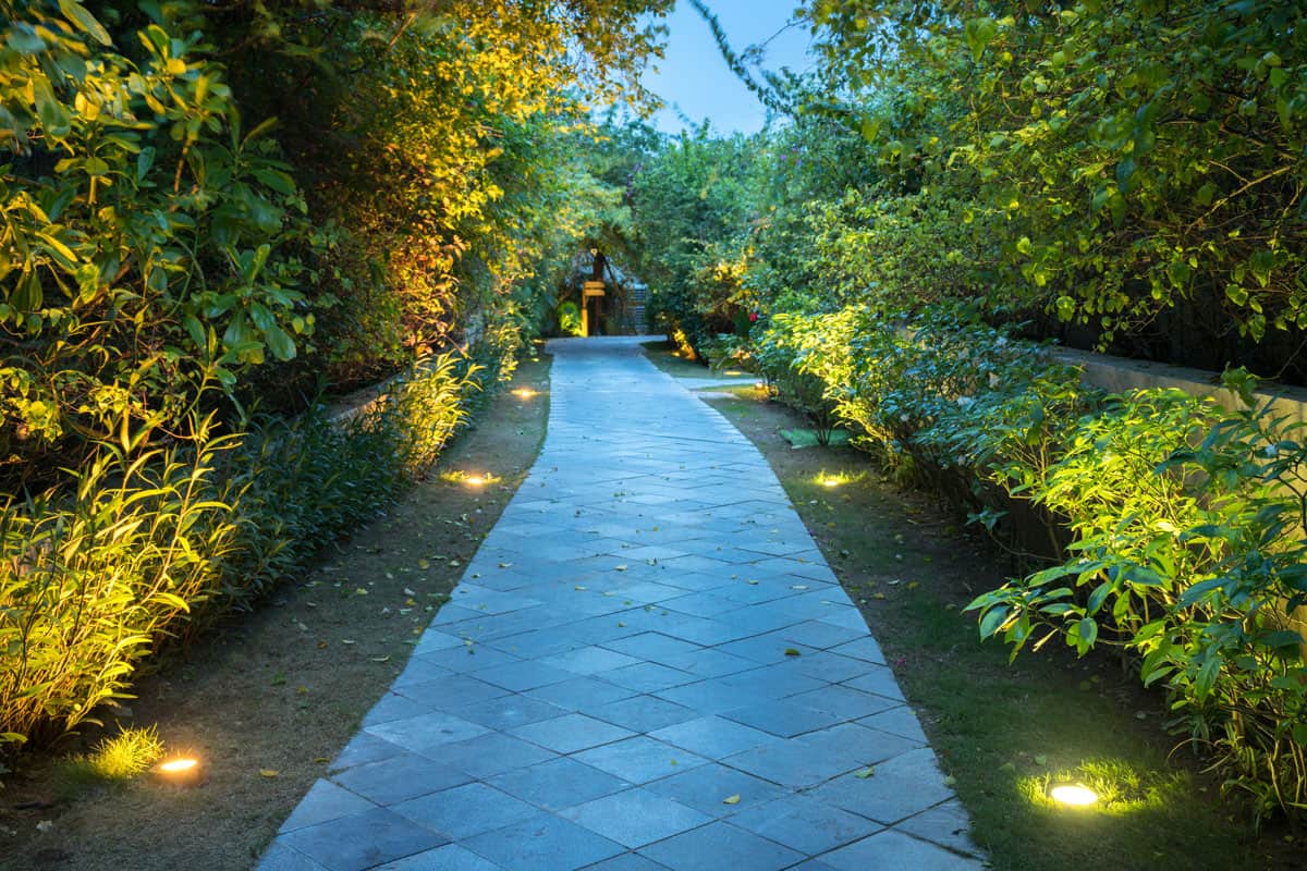 A garden path walk with solar lights on the side surrounded with plants on the sides