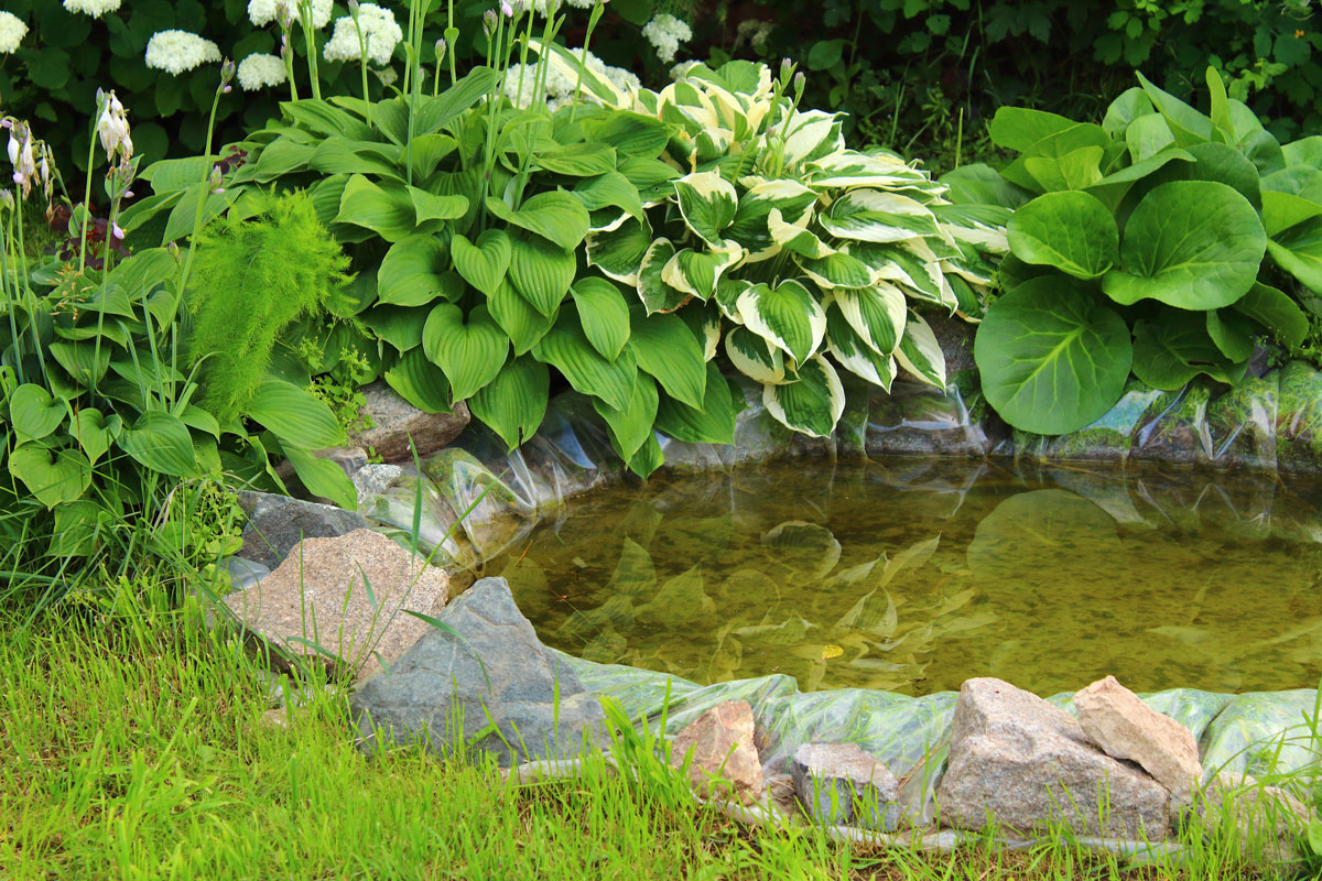 A small rock pond at a gorgeous flowering garden