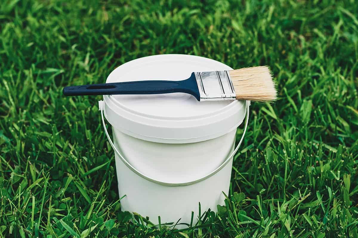 Bucket of paint and brush on the green lawn