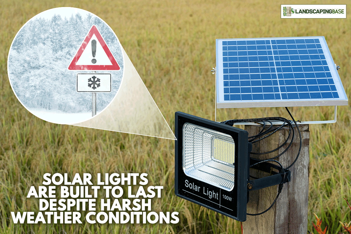 A solar cell lamp on yellow field background, Does Cold Weather Affect Solar Lights?
