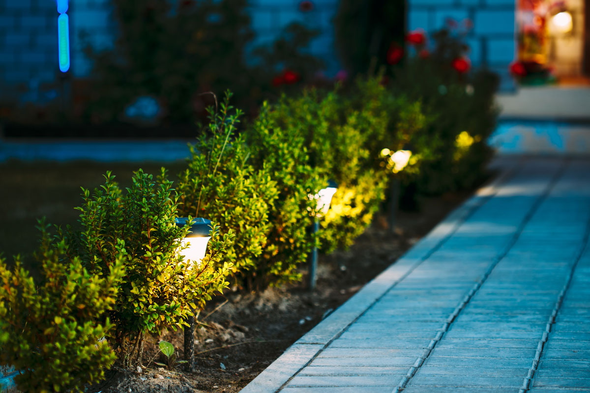 Gorgeous garden lamps placed near small bushes at the patio
