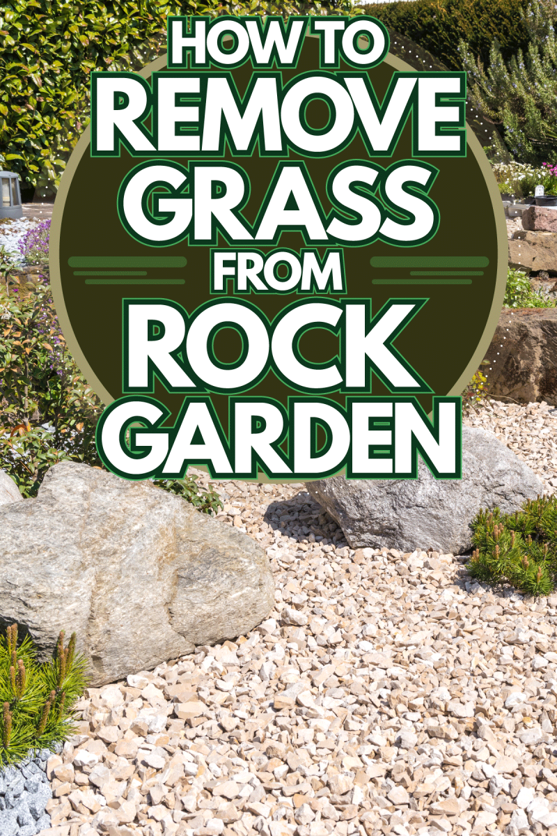 A gorgeous rock garden filled with gorgeous plants and flowers, How To Remove Grass From Rock Garden
