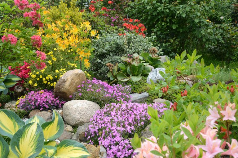 Idyllic rock garden with colourful flowers, How To Plant Flowers In Rock Landscaping