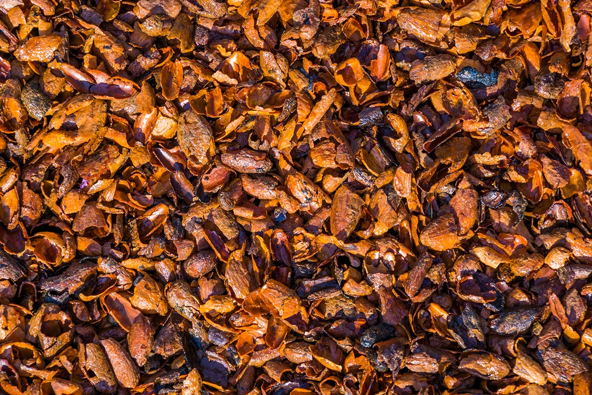 Pattern of cacao shells
