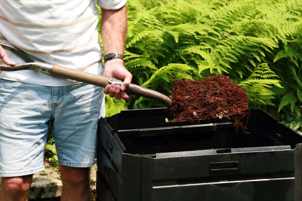 Senior Man Holding Shovel Full of Compost, Home Composting
