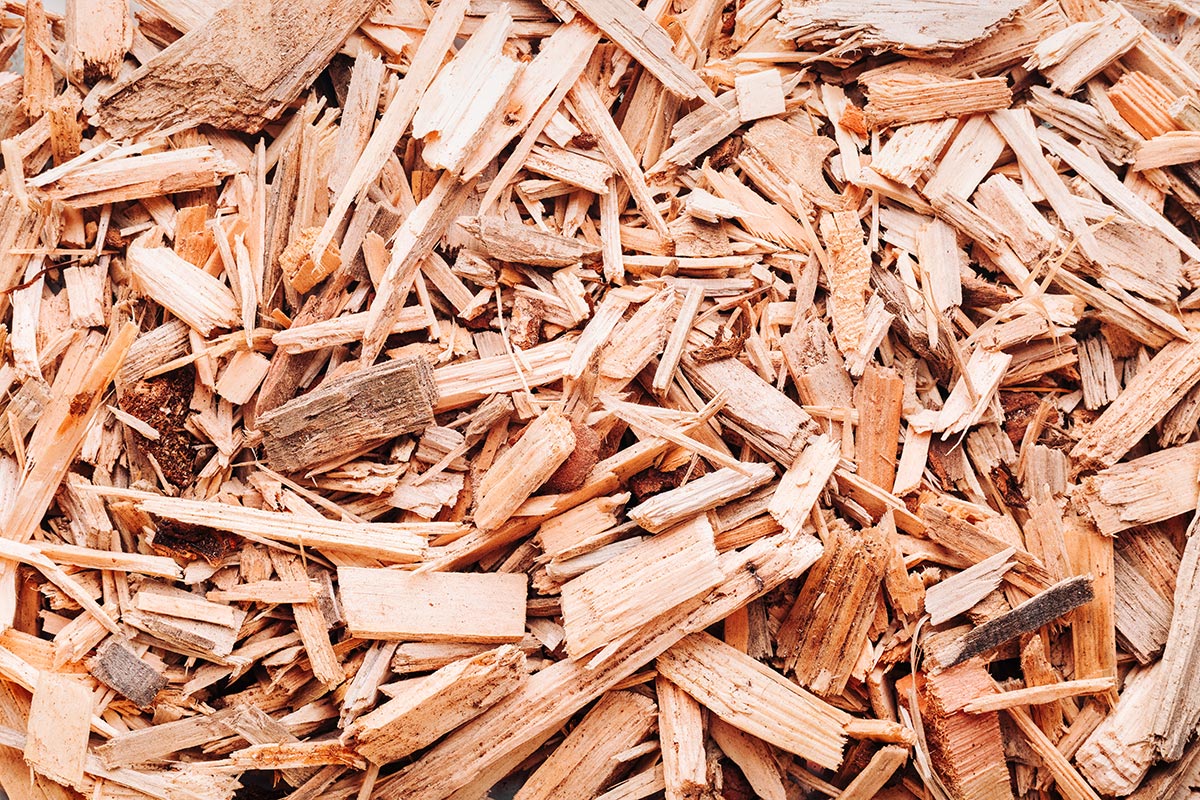 Small pile of wood chips