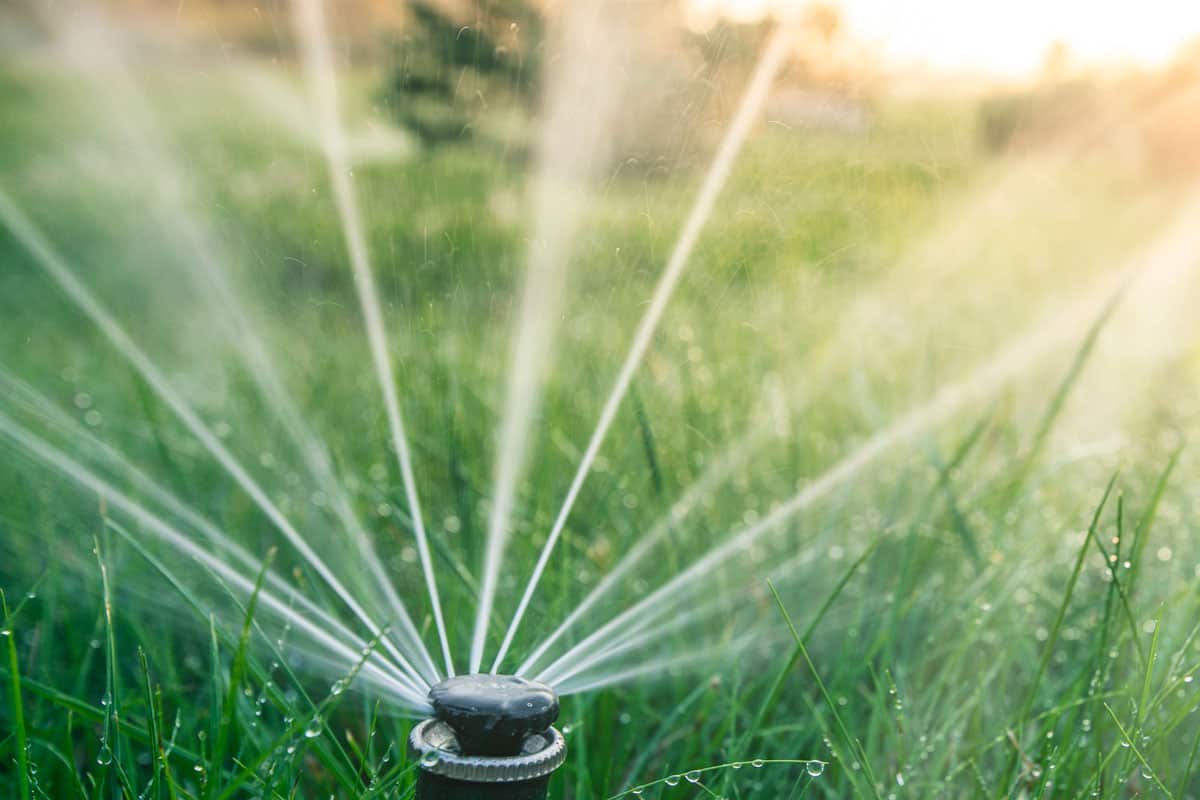The nozzle of the automatic watering system waters a green lawn