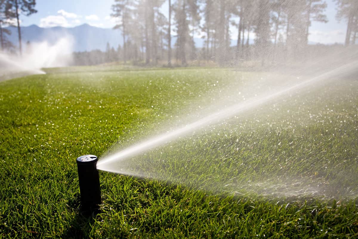 Watering a Golf Course With Sprinkler System