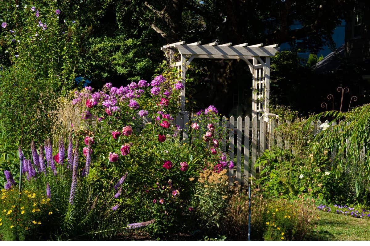 A garden gate in a flower garden in Salem, Oregon.