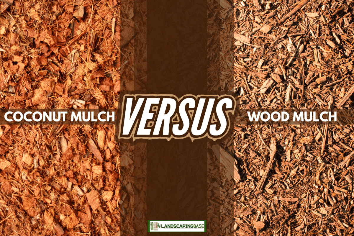 collab photo of a coconut mulch and wood mulch, comparison photo, Coconut Mulch Vs Wood Mulch: Which To Choose?