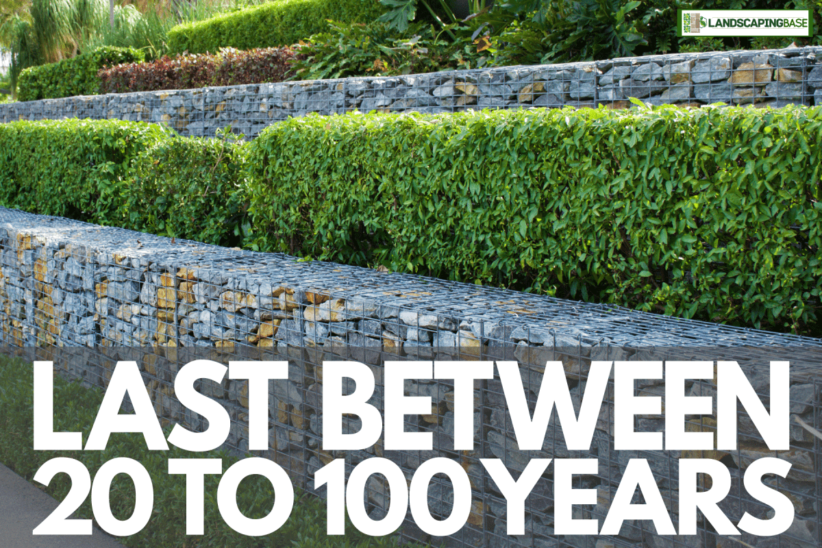 stone retaining walls of a green garden, huge rocks, pebbles, How Often Do Retaining Walls Need To Be Replaced?