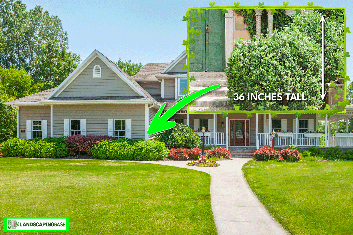 Idyllic home with covered porch, How Tall Should Shrubs Be In Front Of House?