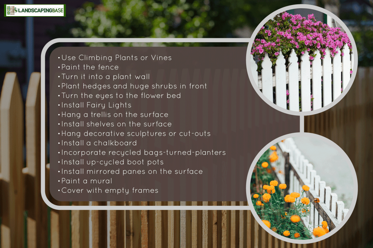 photo of a wooden fence on the garden outside the house, sunny day, sun lit photo, morning, How To Cover A Boring Fence [15 Stunning Ideas]