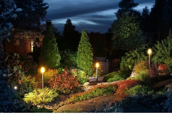 Ground garden light glare with lantern electric lamp with a round diffuser in the green grass with thuja bushes and garland on trees in a landscaped park night scene, nobody. - 11 Arborvitae Landscape Lighting IdeasGround garden light glare with lantern