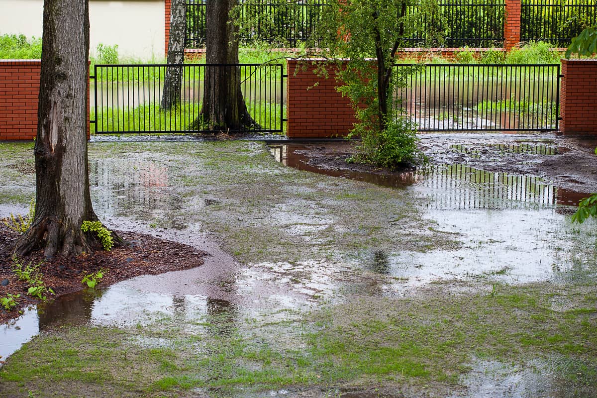 Muddy backyard with puddles after spring rain