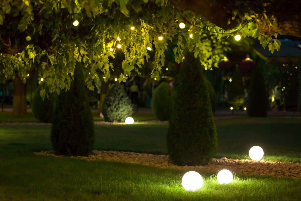 Night backyard with mown lawn and trees festive decorated with garlands with light bulbs in the leaves of trees and ground ball lanterns on celebrate of party holiday park, nobody. — Photo
