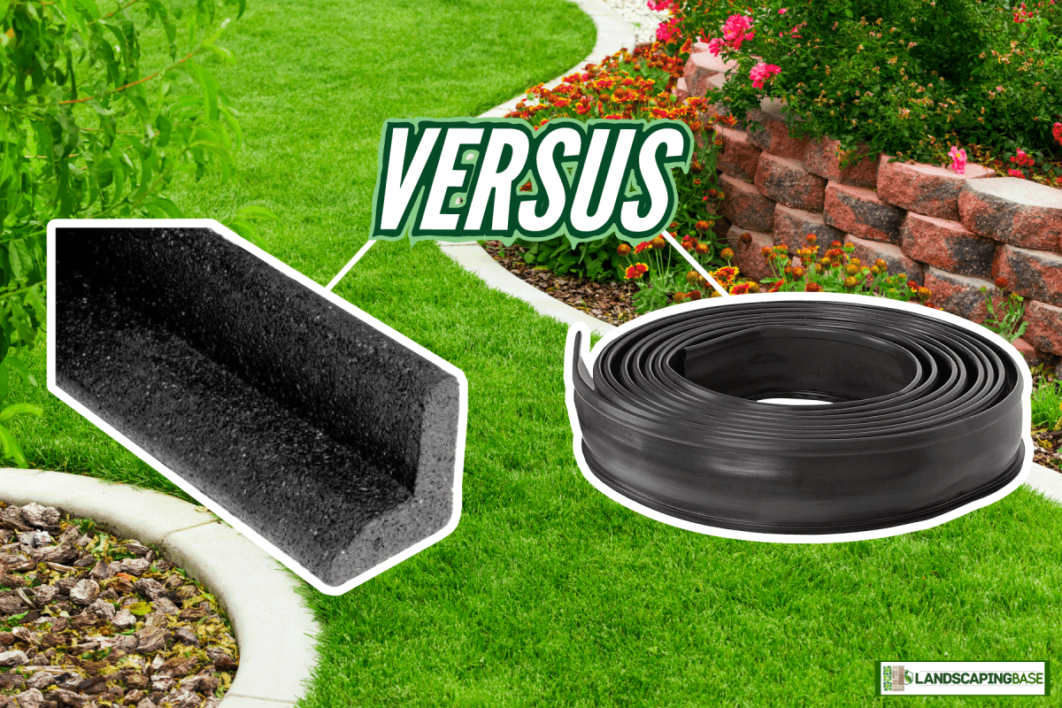 landscape, garden, clean garden of the backyard, well maintained grass, Rubber Landscape Edging Vs. Plastic:  Which To Choose?
