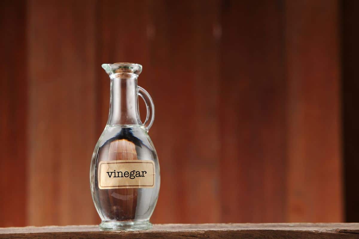 White vinegar in bottle
