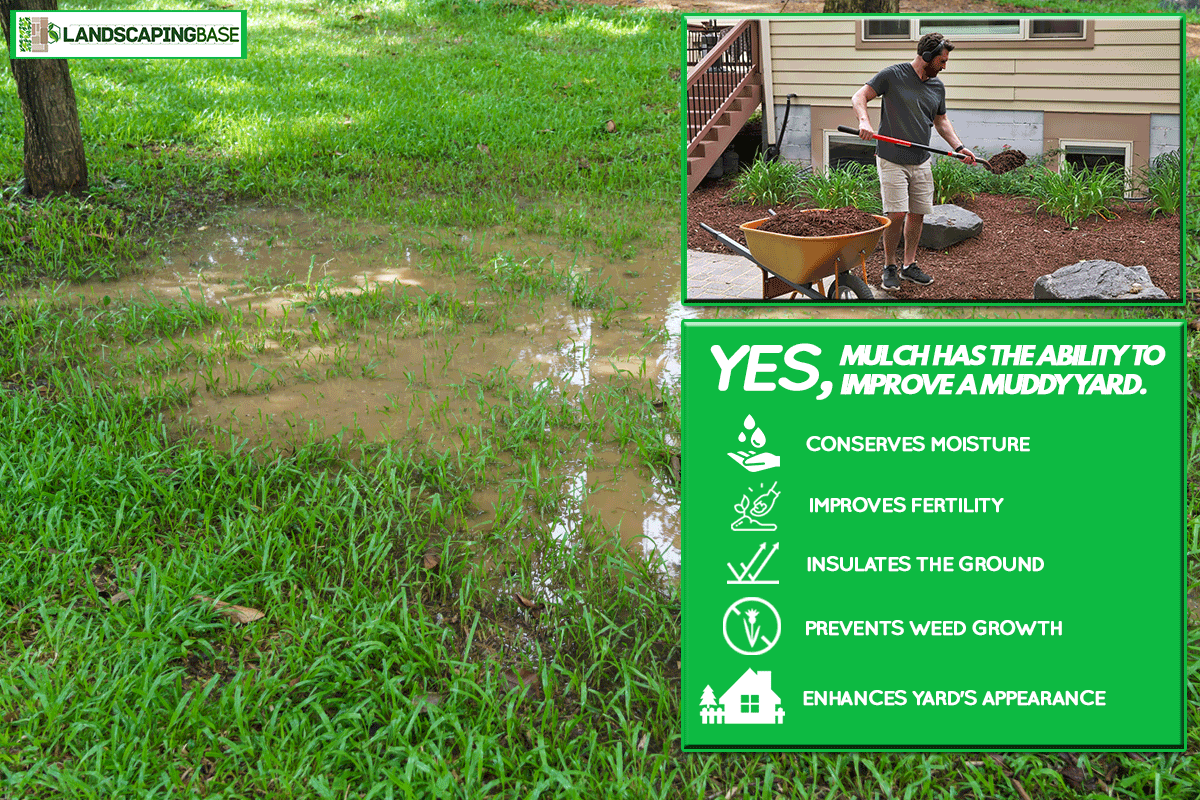 A puddle in the yard after heavy rain, Will Mulch Help A Muddy Yard?