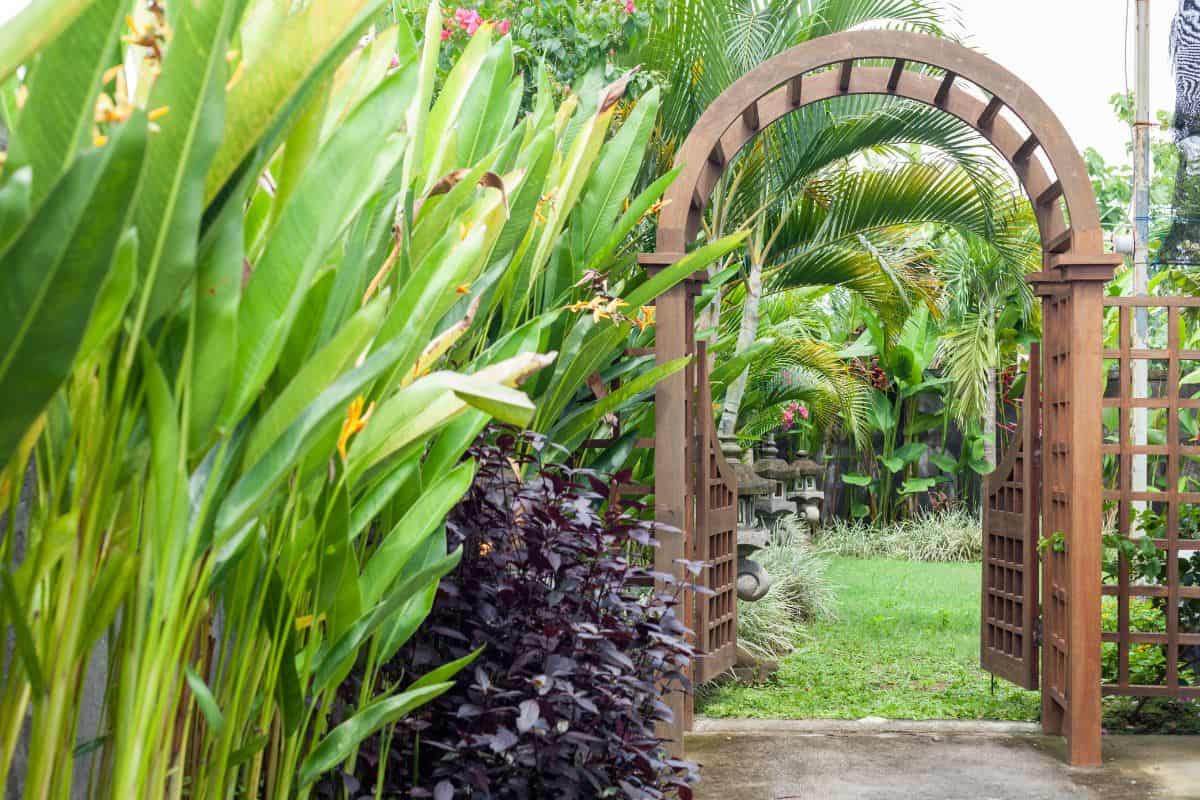 Wooden arbor with gate in garden. Wooden arched entrance to the backyard