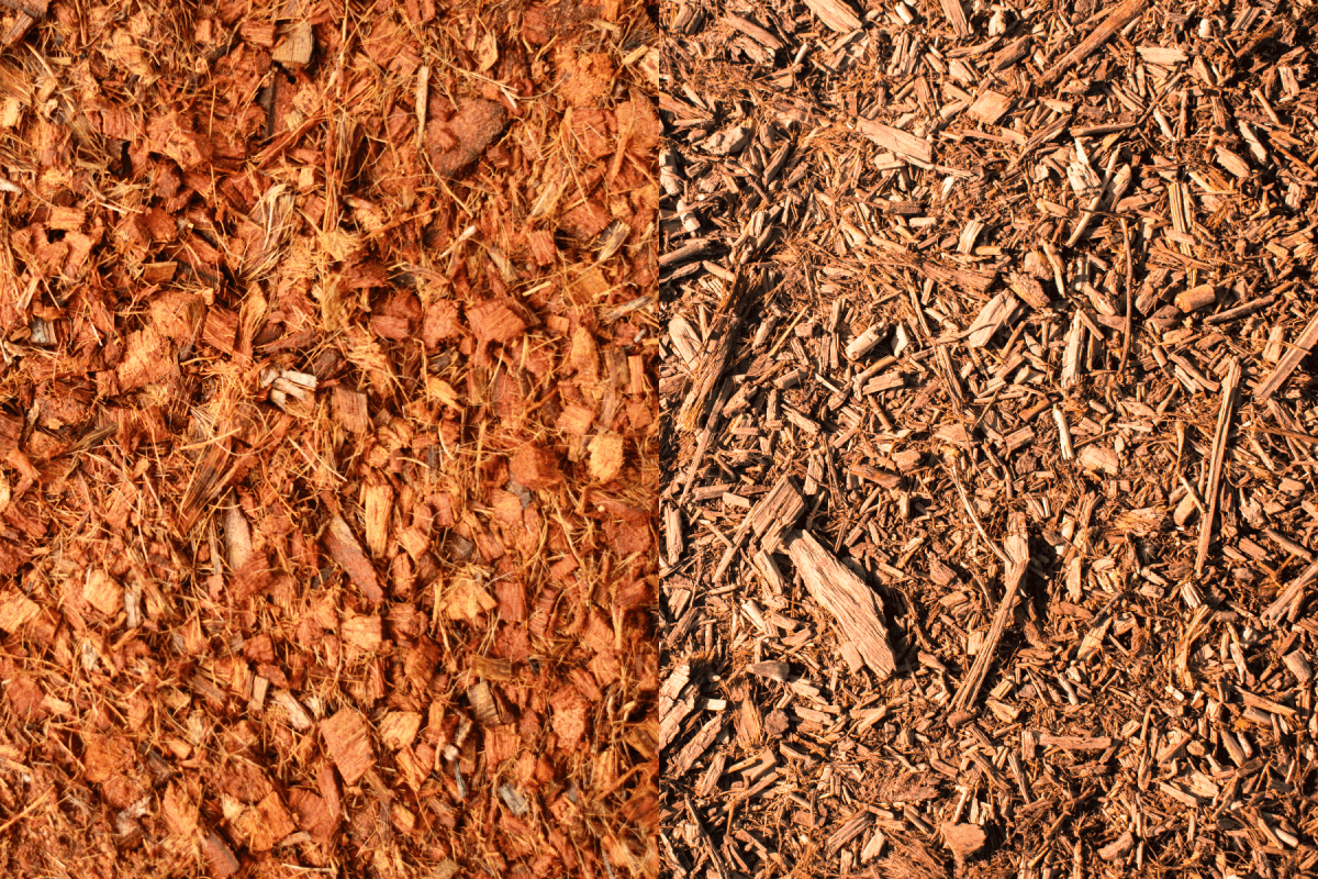 collab photo of a coconut mulch and wood mulch, comparison photo