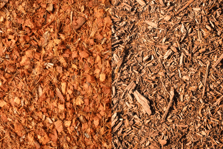 collab photo of a coconut mulch and wood mulch, comparison photo, Coconut Mulch Vs Wood Mulch: Which To Choose?