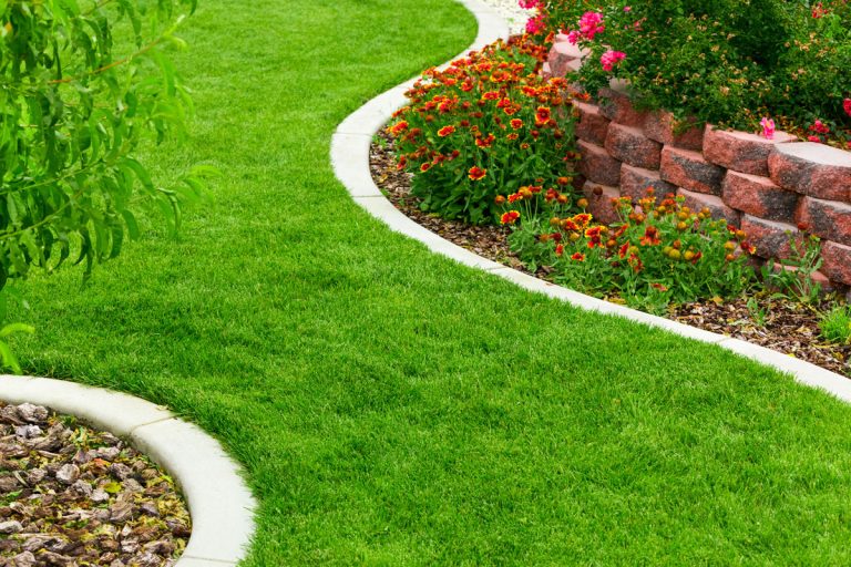 landscape, garden, clean garden of the backyard, well maintained grass, Rubber Landscape Edging Vs. Plastic: Which To Choose?