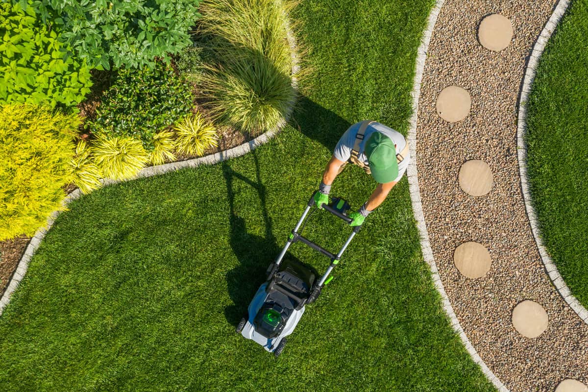 man mowing the garden using a lawn mower, landscaping a garden
