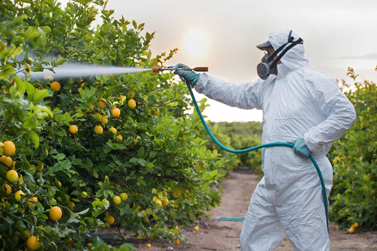 photo of a weed-insecticide-fumigation-organic-ecological-agriculture
