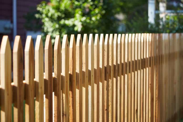photo of a wooden fence on the garden outside the house, sunny day, sun lit photo, morning, How To Cover A Boring Fence [15 Stunning Ideas]