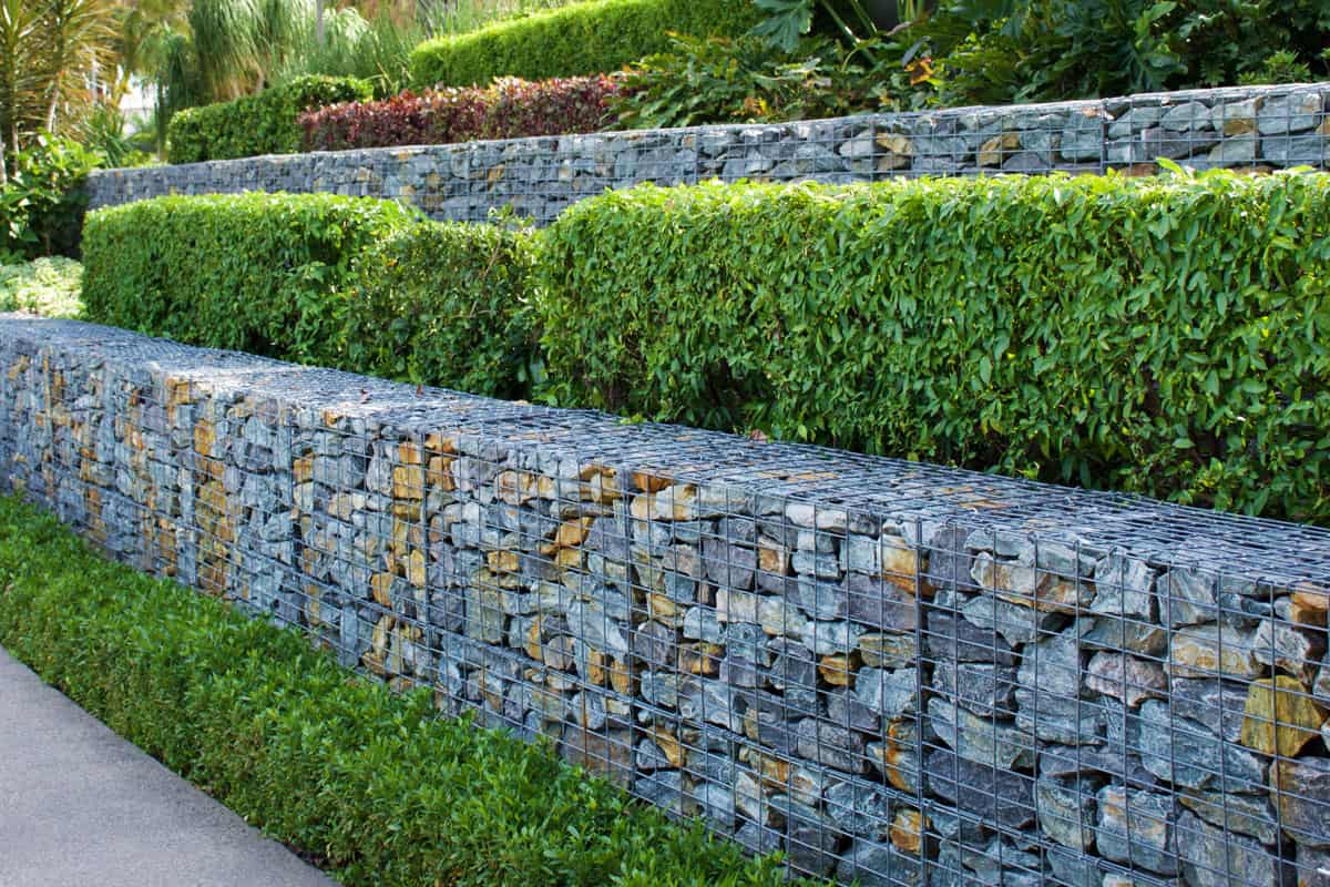 stone retaining walls of a green garden, huge rocks, pebbles