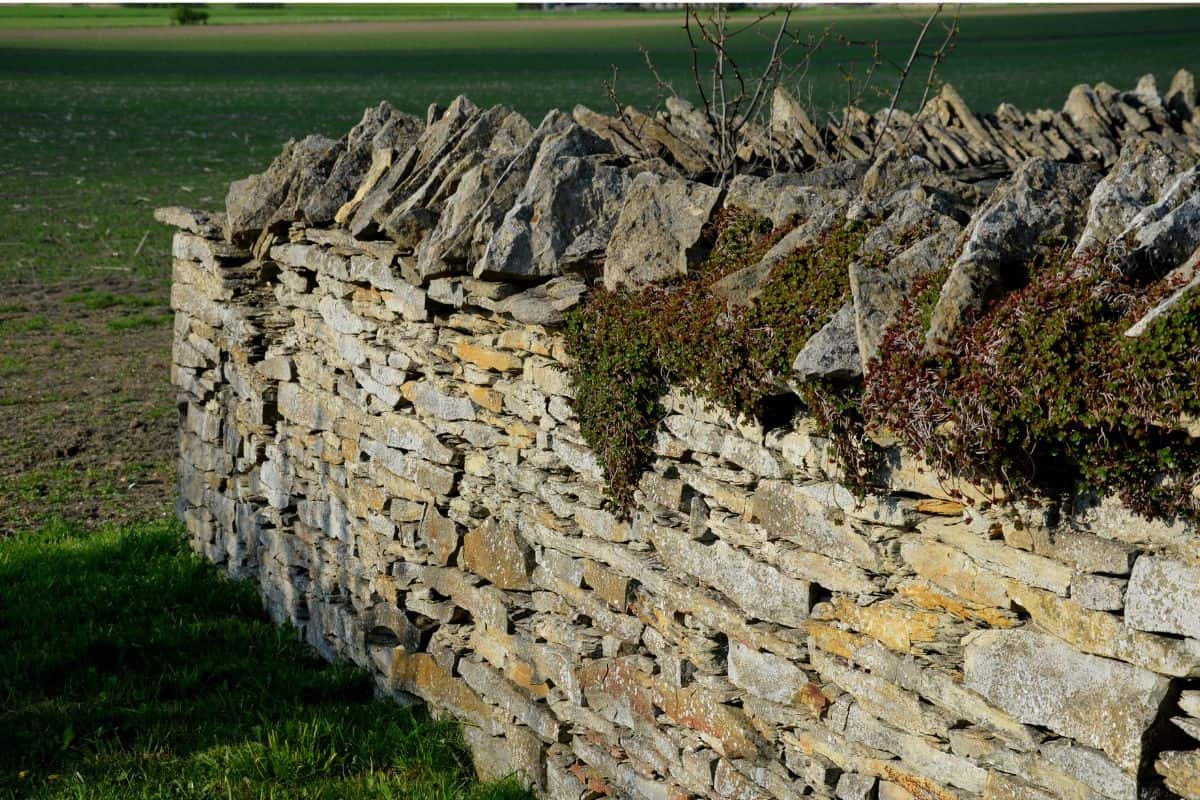 stone wall laid dry without the use of cement. The stones are beige-yellow marl. stacked on top of each other. fence of a country garden or cemetery. at the top of the wall, the stones are placed vertically like books in a library