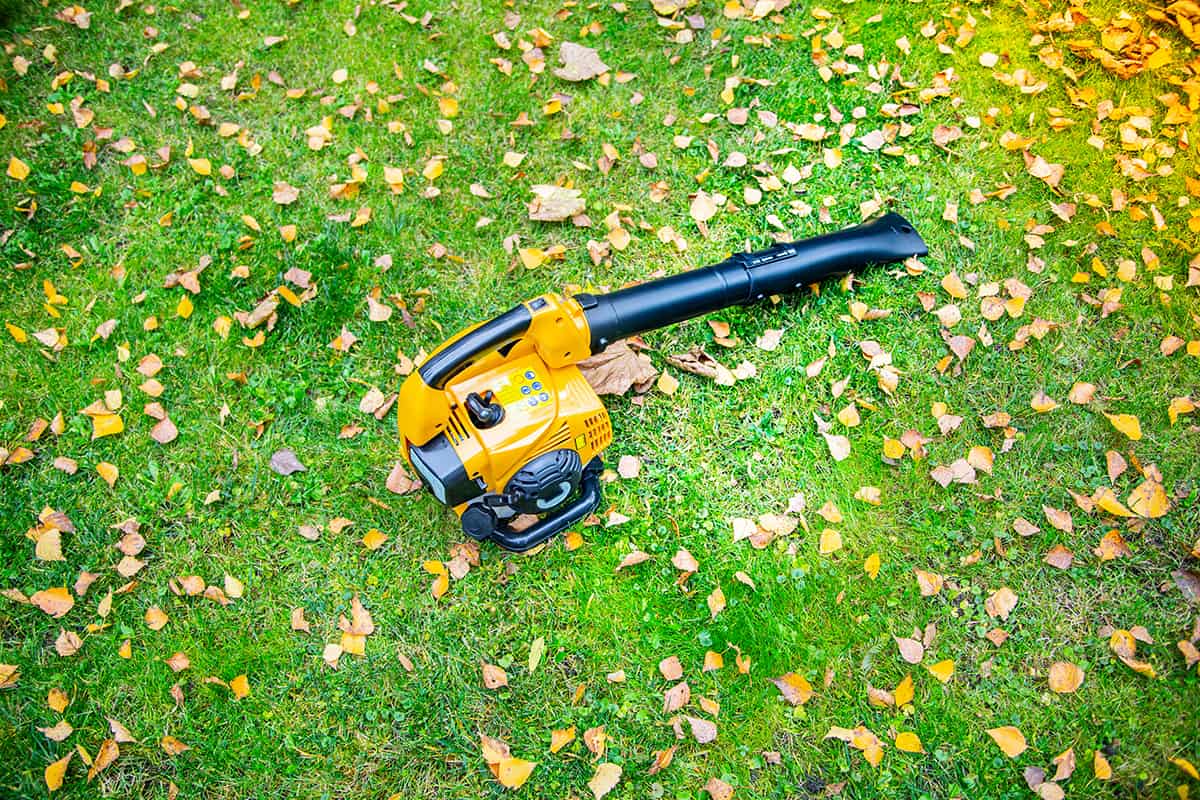 An orange cordless, electric leaf blower lying on a grass