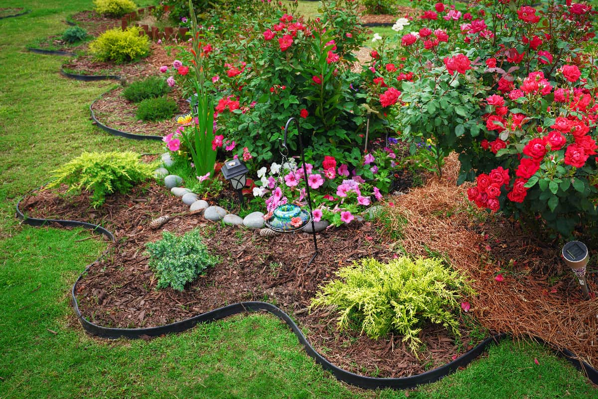 Beautiful landscaped flower garden with blooming roses