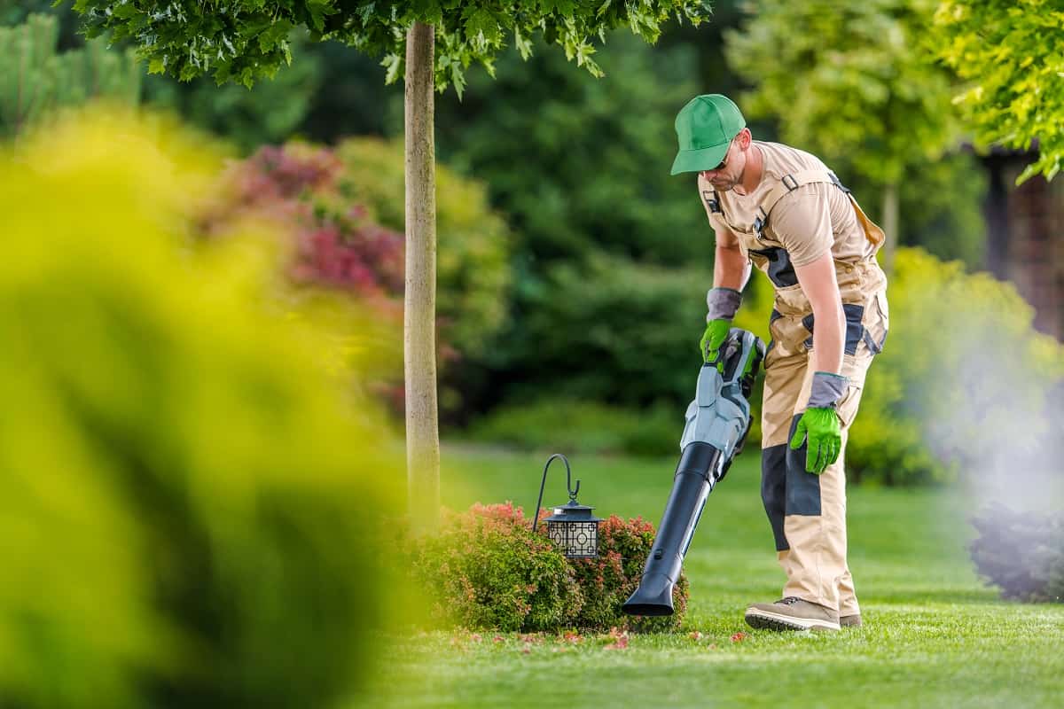 Corded Electric Leaf Blowers - Caucasian Gardener in His 40s Cleaning Backyard Garden Lawn Using Modern Electric Cordless Leaf Blower