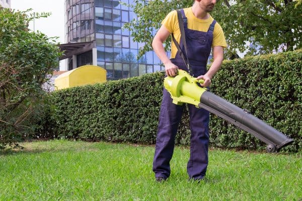 Gardener using his leaves blower in the garden, Can I Use A Leaf Blower For Grass Clippings?