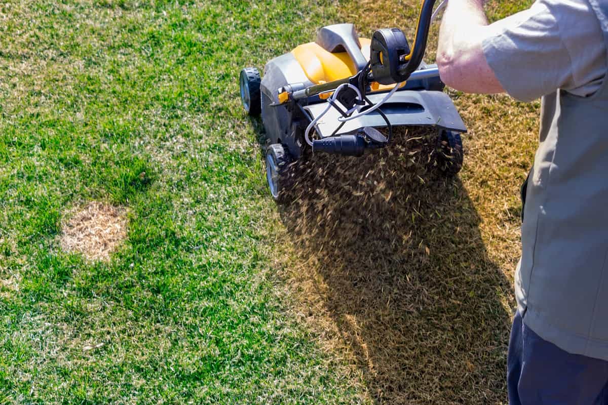 How Do You Aerate Your Lawn - Aeration of the lawn in the garden. Yellow aerator on green grass -