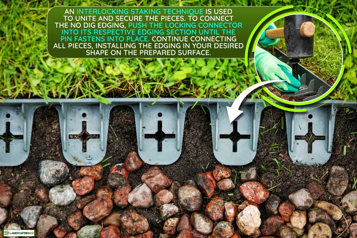 A plastic garden lawn border installed on the garden, How To Connect No Dig Edging