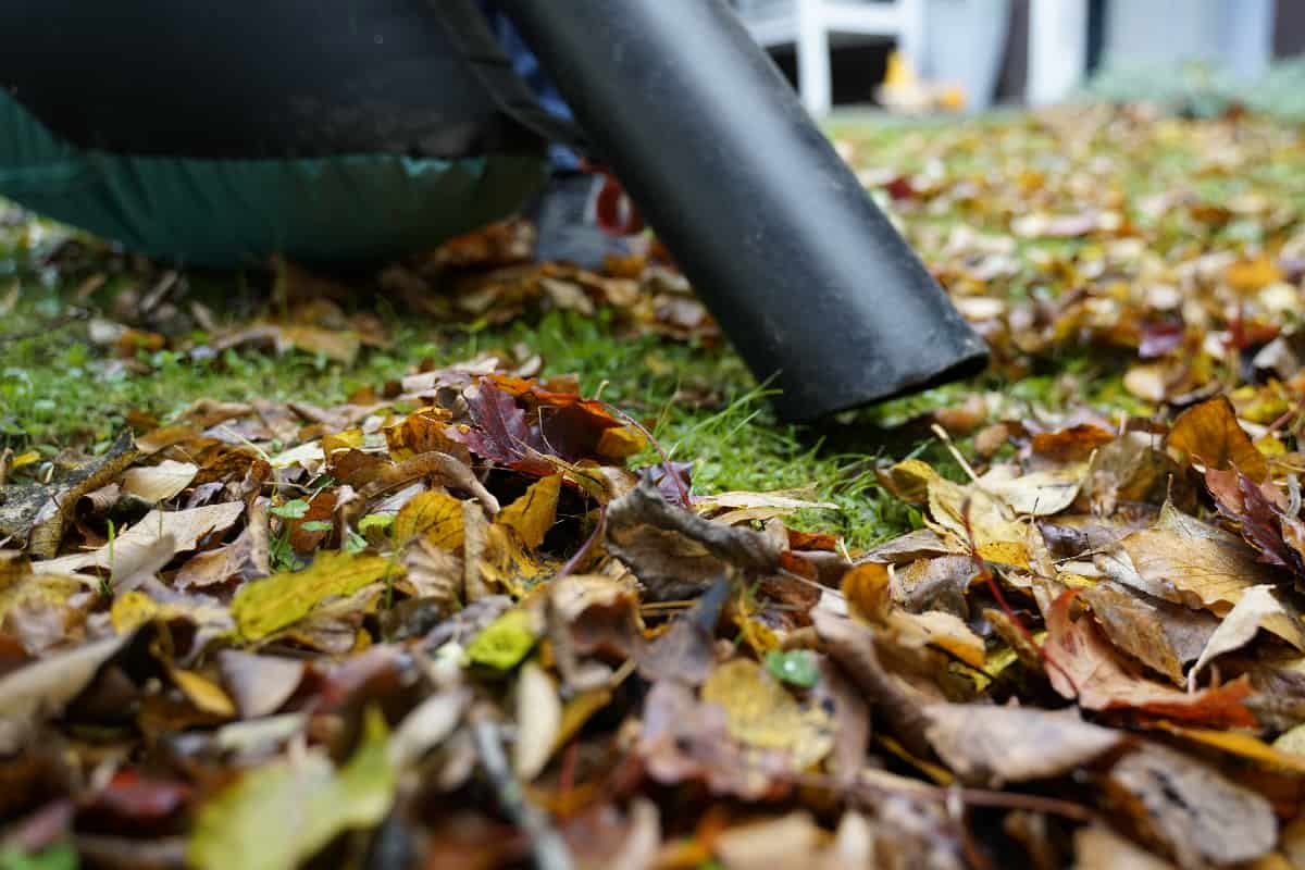 In autumn there is a man with a leaf vacuum cleaner in the garden