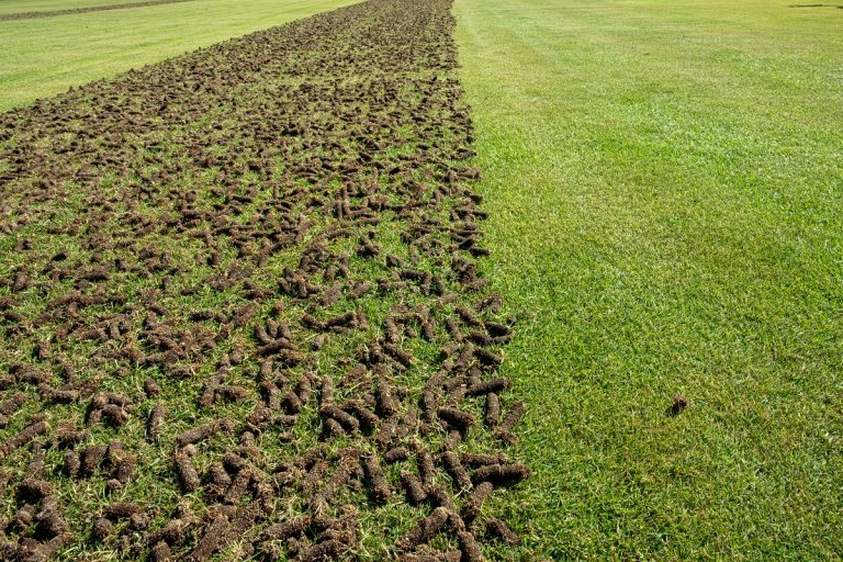 Pile of plugs of soil removed from sports field - Does Aeration Help To Level The Lawn?