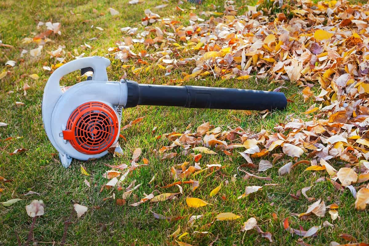 What Are Leaf Blowers - Vacuum cleaner for cleaning leaves on the lawn in the autumn park.