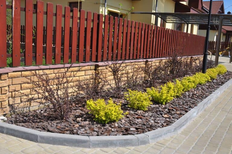 photo of a narrow foundation planting red fence beautiful evergreen shrubs landscape, 11 Narrow Foundation Planting Ideas